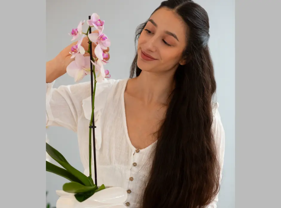 Organic Cure Grove Products 